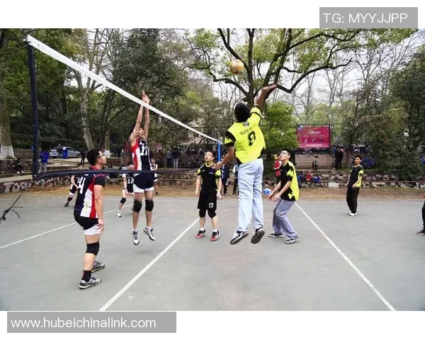 武汉排球队逆袭之路：从低谷到巅峰的杯赛传奇故事